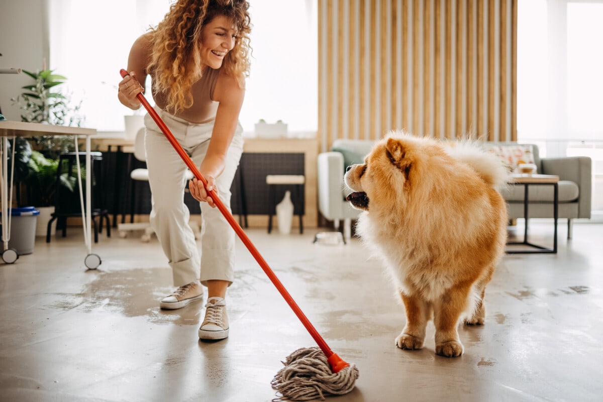 Professional Cleaning Service